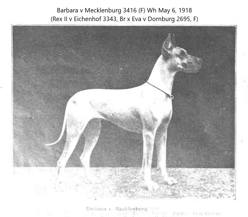 Barbara v Mecklenburg